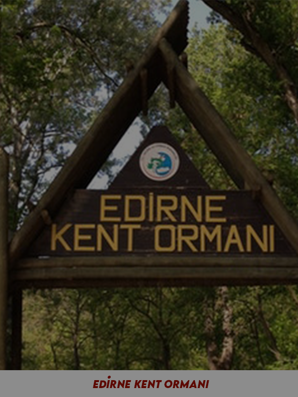 Edirne Kent Ormanı